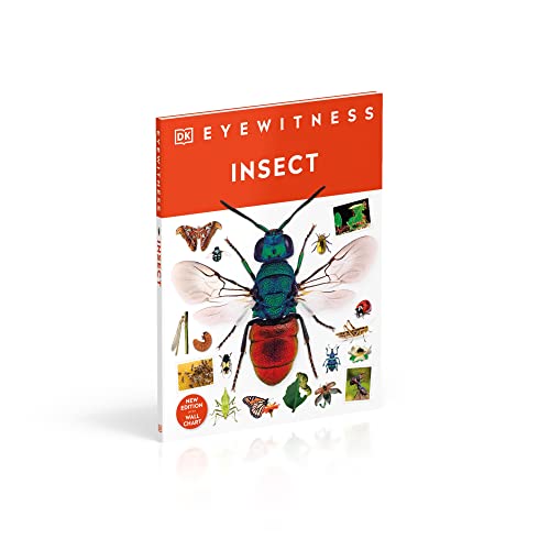 Insect - Retail Maharaj