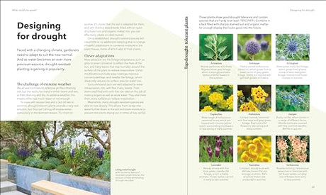 The Raised Bed Book: Get the Most from Your Raised Bed, Every Step of the Way - Retail Maharaj