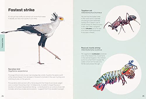 Ben Rothery's Deadly and Dangerous Animals - Retail Maharaj