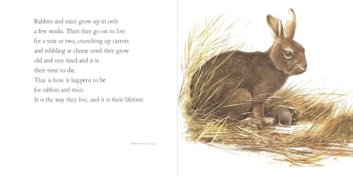 Lifetimes: The Beautiful Way to Explain Death to Children