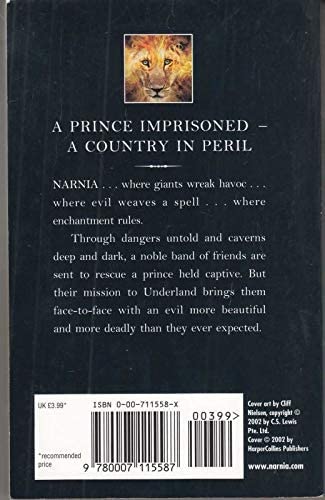 Silver Chair - Retail Maharaj