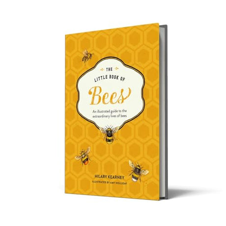 The Little Book of Bees: An illustrated guide to the extraordinary lives of bees - Retail Maharaj