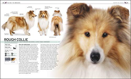 The Complete Dog Breed Book - Retail Maharaj