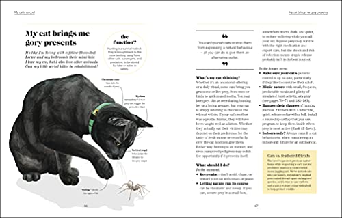 What's My Cat Thinking?: Understand Your Cat to Give Them a Happy Life - Retail Maharaj