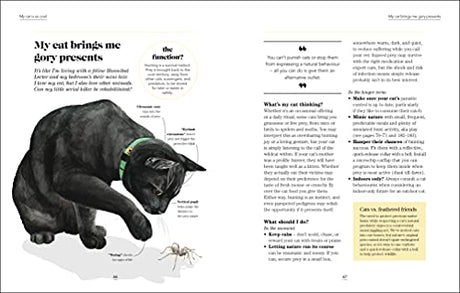 What's My Cat Thinking?: Understand Your Cat to Give Them a Happy Life - Retail Maharaj