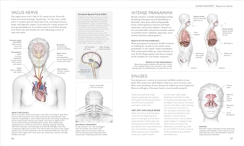 Science of Yoga: Understand the Anatomy and Physiology to Perfect Your Practice - Retail Maharaj