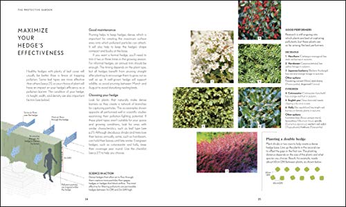 RHS Your Wellbeing Garden - Retail Maharaj