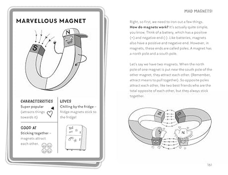 Awesome Electricity and Mad Magnets - Retail Maharaj
