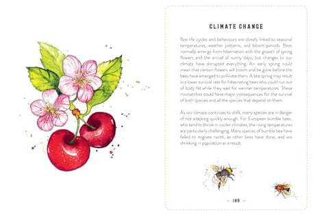 The Little Book of Bees: An illustrated guide to the extraordinary lives of bees - Retail Maharaj