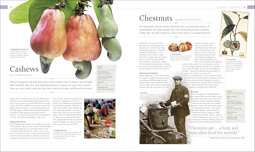 The Food Book: The Stories, Science, and History of What We Eat - Retail Maharaj