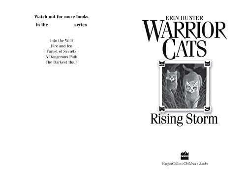 Rising Storm: FOUR CLANS. ONE DESTINY.: Book 4 (Warrior Cats) - Retail Maharaj