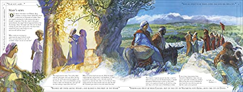 The Life of Jesus (DK Bibles and Bible Guides) - Retail Maharaj