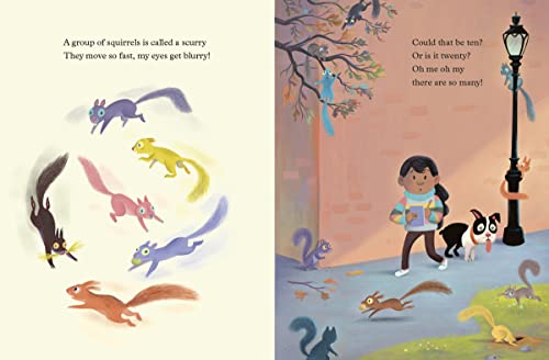 How Many Squirrels Are in the World?