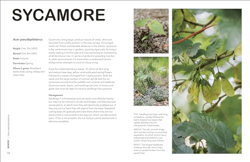 RHS What's That Weed?: Know Your Weeds and Learn to Live with Them - Retail Maharaj