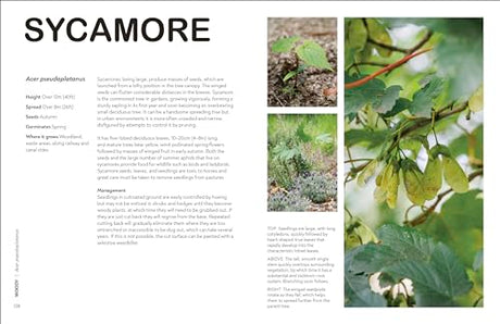 RHS What's That Weed?: Know Your Weeds and Learn to Live with Them - Retail Maharaj