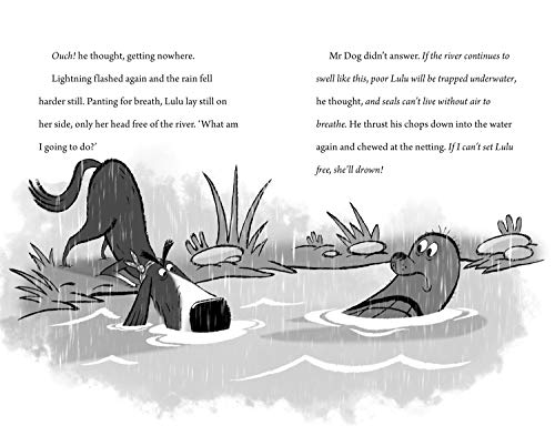 Mr Dog and the Seal Deal - Retail Maharaj