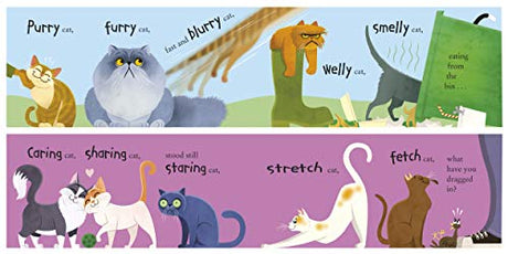 100 Cats - Retail Maharaj