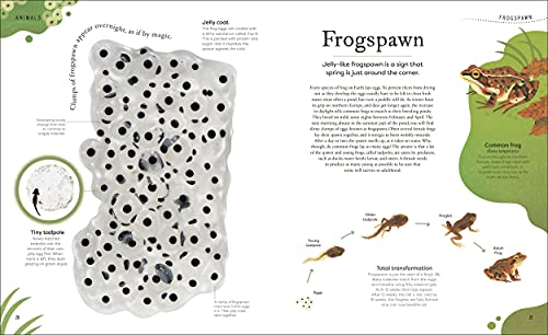 Nature's Treasures: Tales Of More Than 100 Extraordinary Objects From Nature - Retail Maharaj