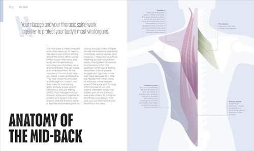 Yoga Fix: Functional Movement for a Pain-Free Body - Retail Maharaj