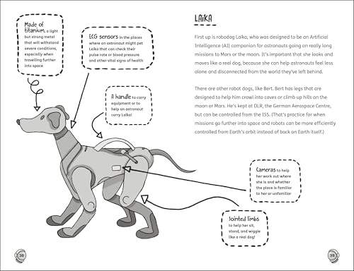 The Astronaut Diaries - Retail Maharaj