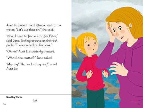 Key Words LVL : 11a : Aunt Liz's Lost Ri (Key Words with Peter and Jane) - Retail Maharaj