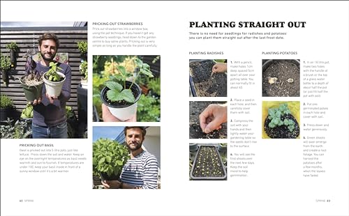 Tomatoes and Basil on the 5th Floor (The Frenchie Gardener): All You Need for a Bountiful Balcony Harvest - Retail Maharaj