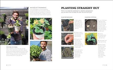 Tomatoes and Basil on the 5th Floor (The Frenchie Gardener): All You Need for a Bountiful Balcony Harvest - Retail Maharaj