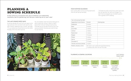 Tomatoes and Basil on the 5th Floor (The Frenchie Gardener): All You Need for a Bountiful Balcony Harvest - Retail Maharaj
