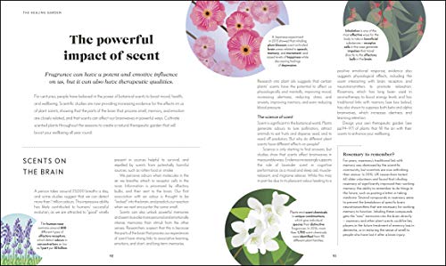 RHS Your Wellbeing Garden - Retail Maharaj