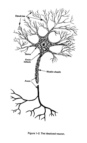 Introduction to Artificial Intelligence: Third Edition (Dover Books on Computer Science)