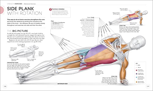 Science of Strength Training: Understand the Anatomy and Physiology to Transform Your Body - Retail Maharaj