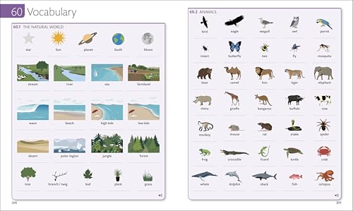 English for Everyone Course Book Level 3 Intermediate: A Complete Self-Study Programme - Retail Maharaj