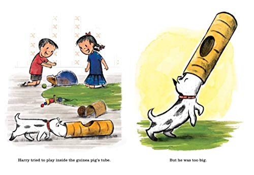 Harry and the Guinea Pig - Retail Maharaj