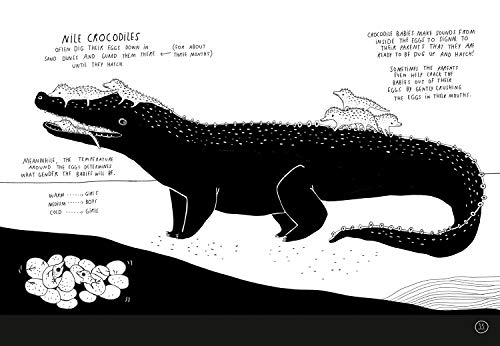 Baby Animals!: Amazing Adorable Facts - Retail Maharaj