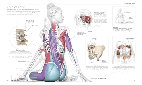 Science of Yoga: Understand the Anatomy and Physiology to Perfect Your Practice - Retail Maharaj