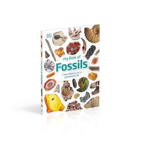 My Book of Fossils - Retail Maharaj