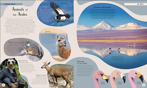 Mountain: Go On a Grand Tour of the Highest Places on Earth - Retail Maharaj