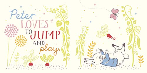 Peter Rabbit: Hello Peter! (Peter Rabbit Baby Books) - Retail Maharaj