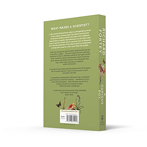 A Curious Boy - Retail Maharaj