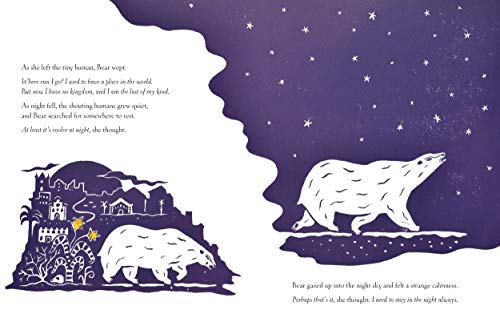 The Bear in the Stars - Retail Maharaj