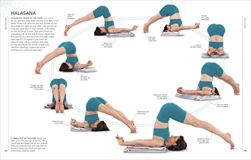 B.K.S. Iyengar Yoga The Path to Holistic Health: The Definitive Step-by-step Guide - Retail Maharaj