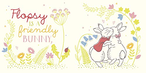 Peter Rabbit: Hello Flopsy! (Peter Rabbit Baby Books) - Retail Maharaj