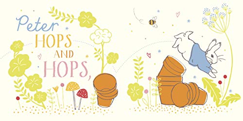 Peter Rabbit: Hello Peter! (Peter Rabbit Baby Books) - Retail Maharaj