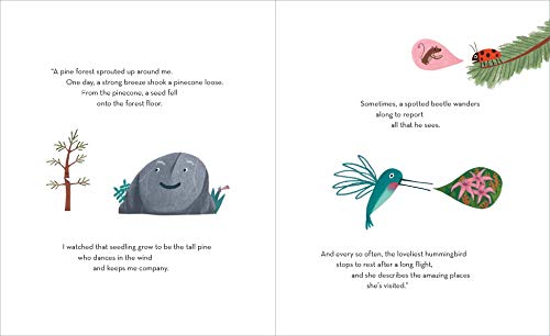 Old Rock (is not boring)