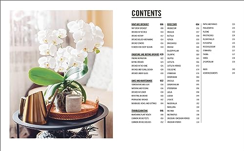 Grow Orchids: Essential Know-how and Expert Advice for Gardening Success - Retail Maharaj