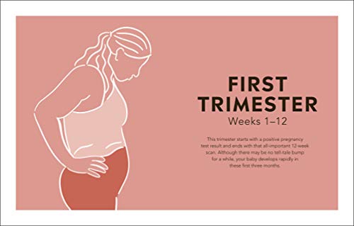 Bumps and Burpees: Your Guide to Staying Strong, Fit and Happy Throughout Pregnancy - Retail Maharaj