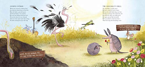 Wild Symphony - Retail Maharaj