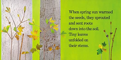 Red Leaf, Yellow Leaf - Retail Maharaj