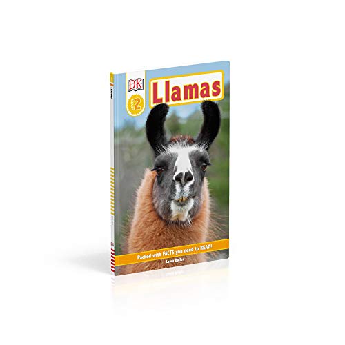 Llamas - Retail Maharaj