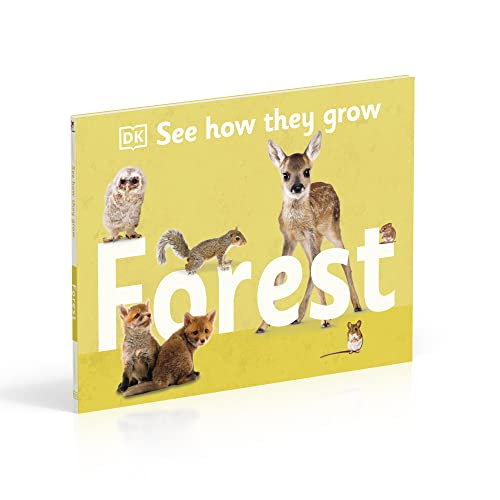 See How They Grow Forest - Retail Maharaj